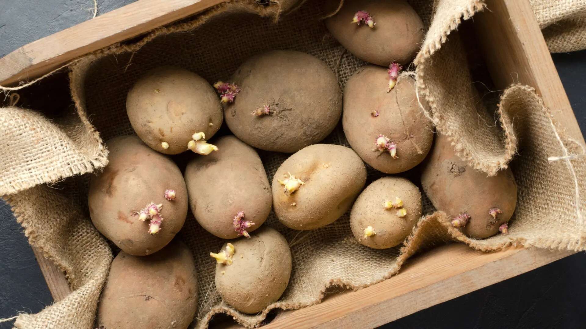 Ni polvos ni hierbas aromáticas: el truco con una manzana para que no le salgan brotes a las patatas