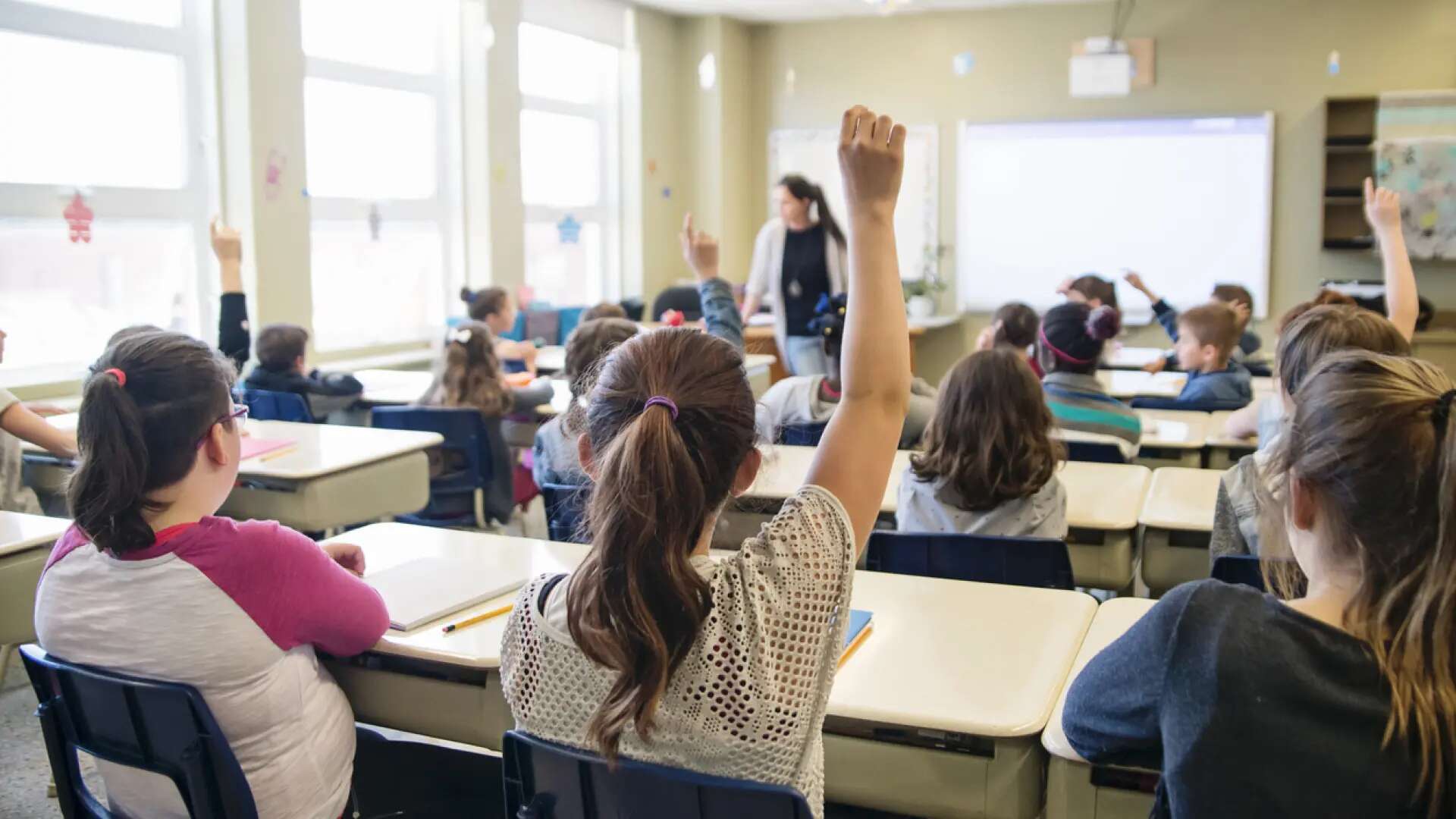 Medio millón de alumnos madrileños de Infantil, Primaria y Especial vuelven este lunes a clase