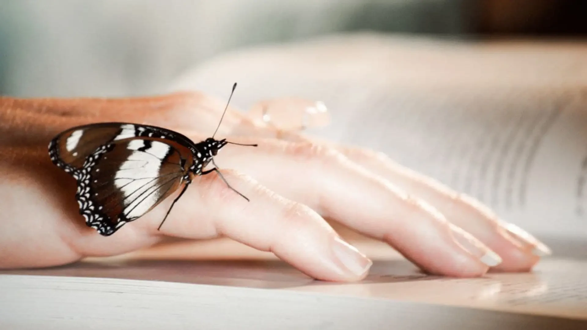Esperanza para los enfermos de 'piel de mariposa': un injerto modificado podría aliviar su situación