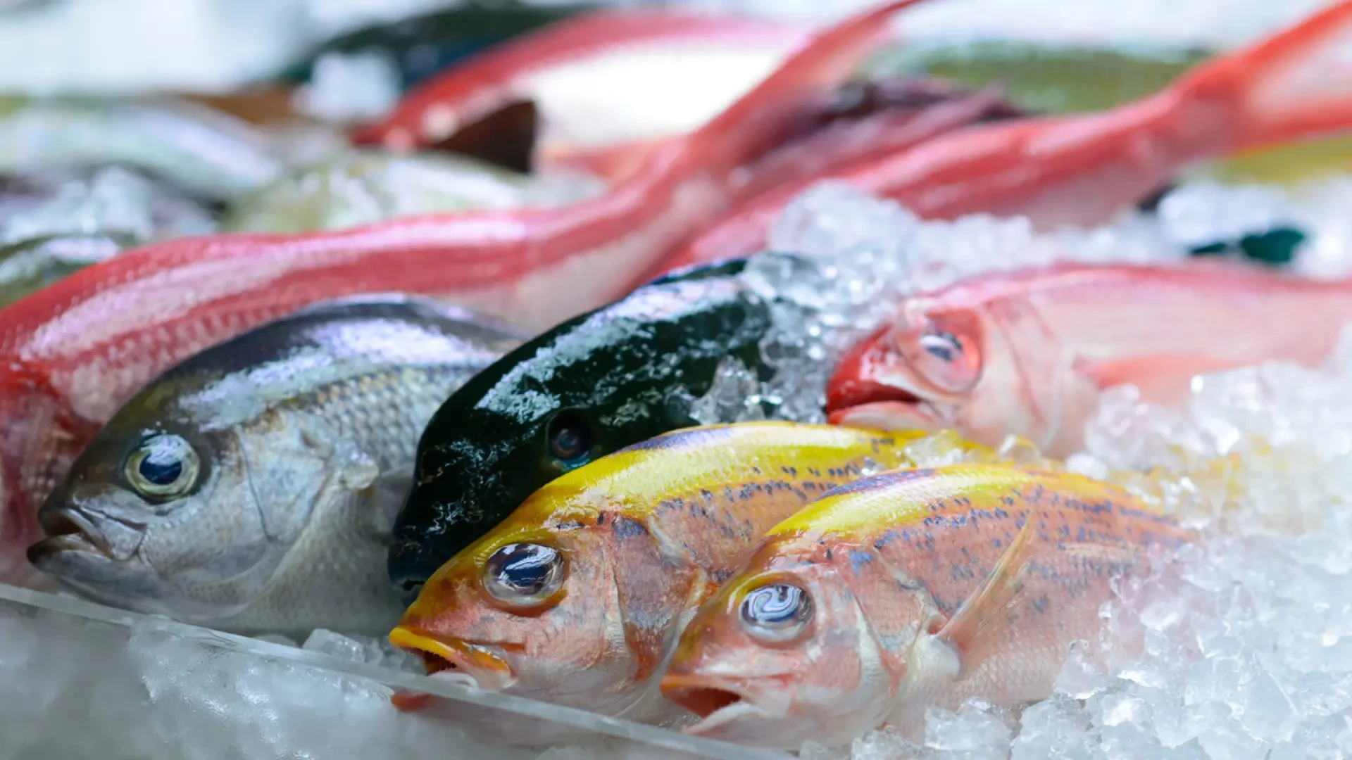 El aviso de un pescadero sobre el tipo de pescado que comen los niños: 