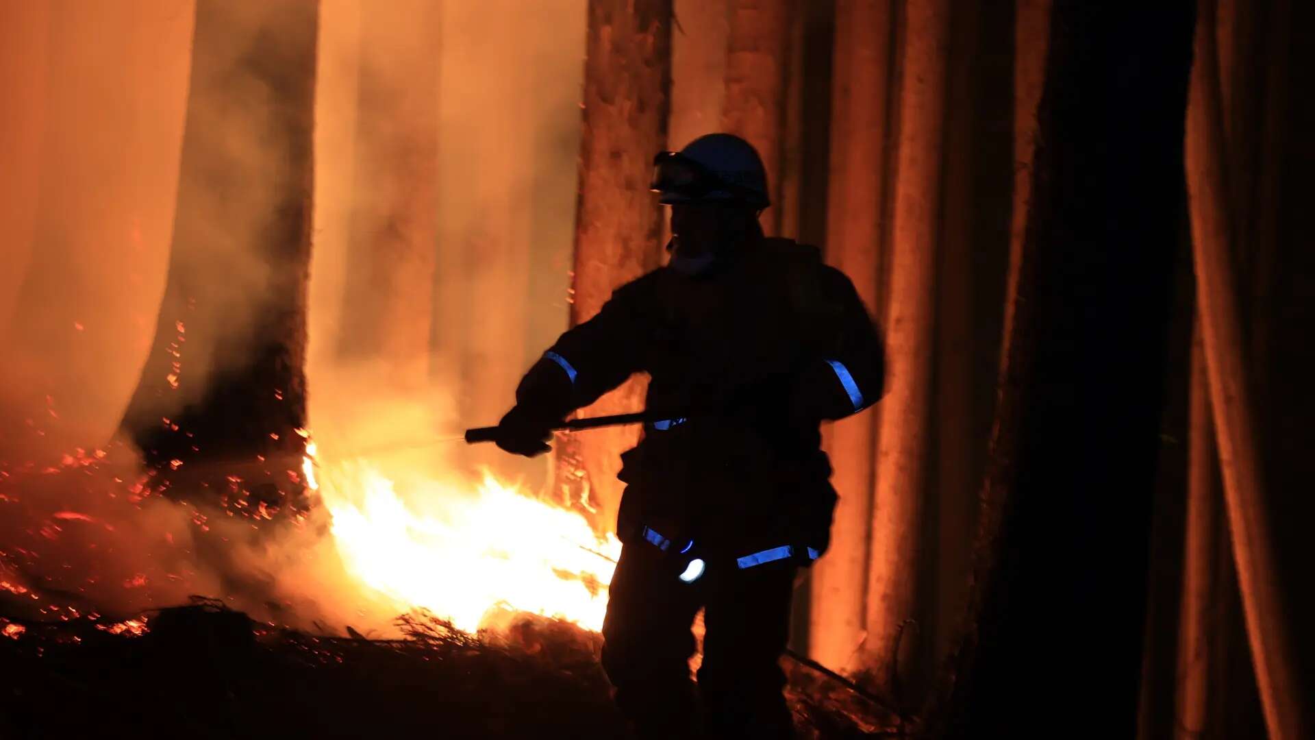 El mayor incendio forestal de las últimas tres décadas en Japón ya ha calcinado 2.600 hectáreas