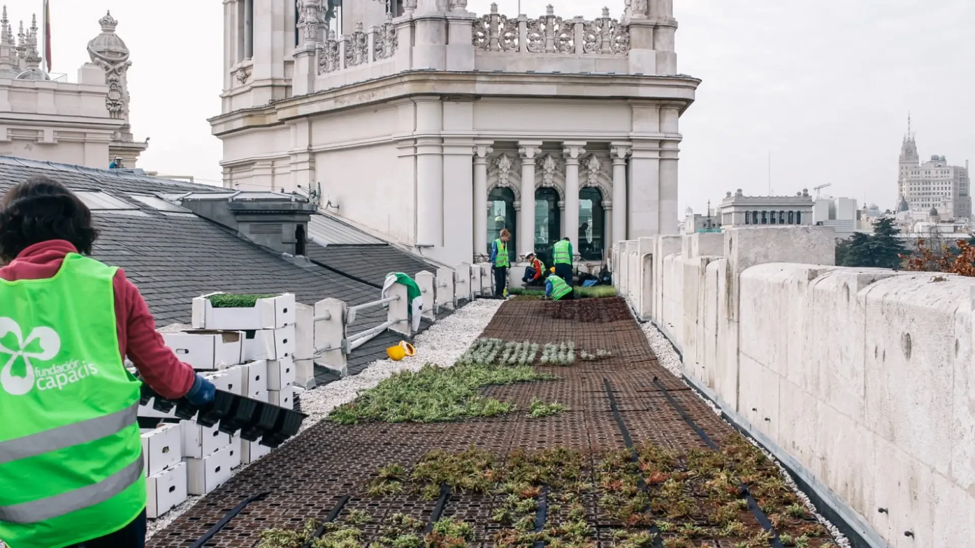 El plan para instalar azoteas verdes sale hoy adelante tras ampliar las ayudas a edificios