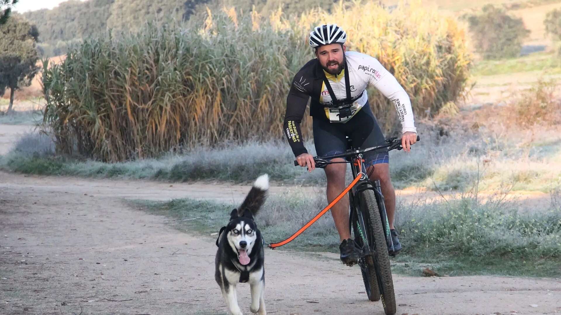 El vínculo de Alberto y Riku, el husky que arrasa sabiendo identificar izquierda y derecha