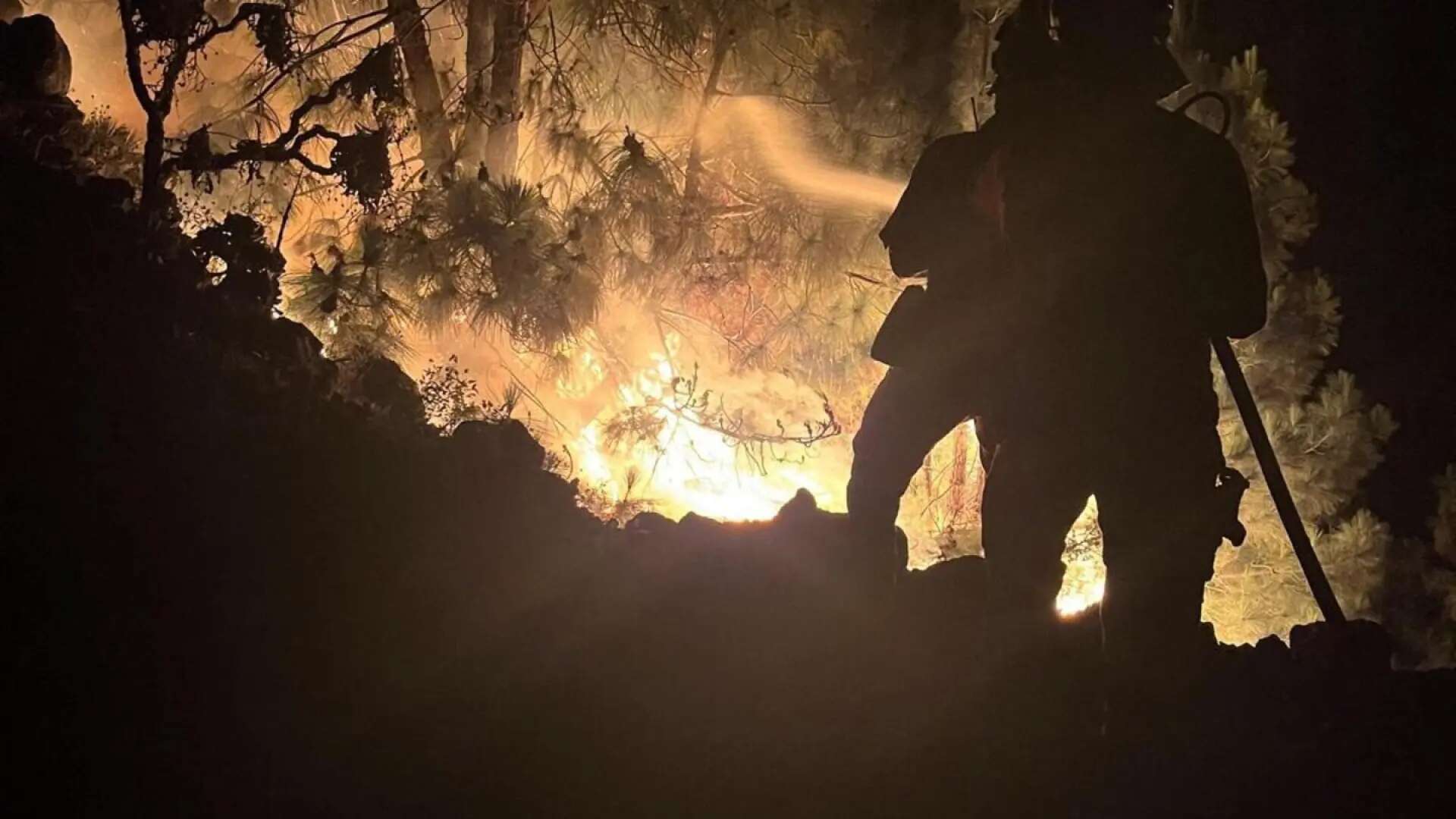 Un conato de incendio forestal en La Palma obliga a evacuar dos barrios dispersos de El Paso