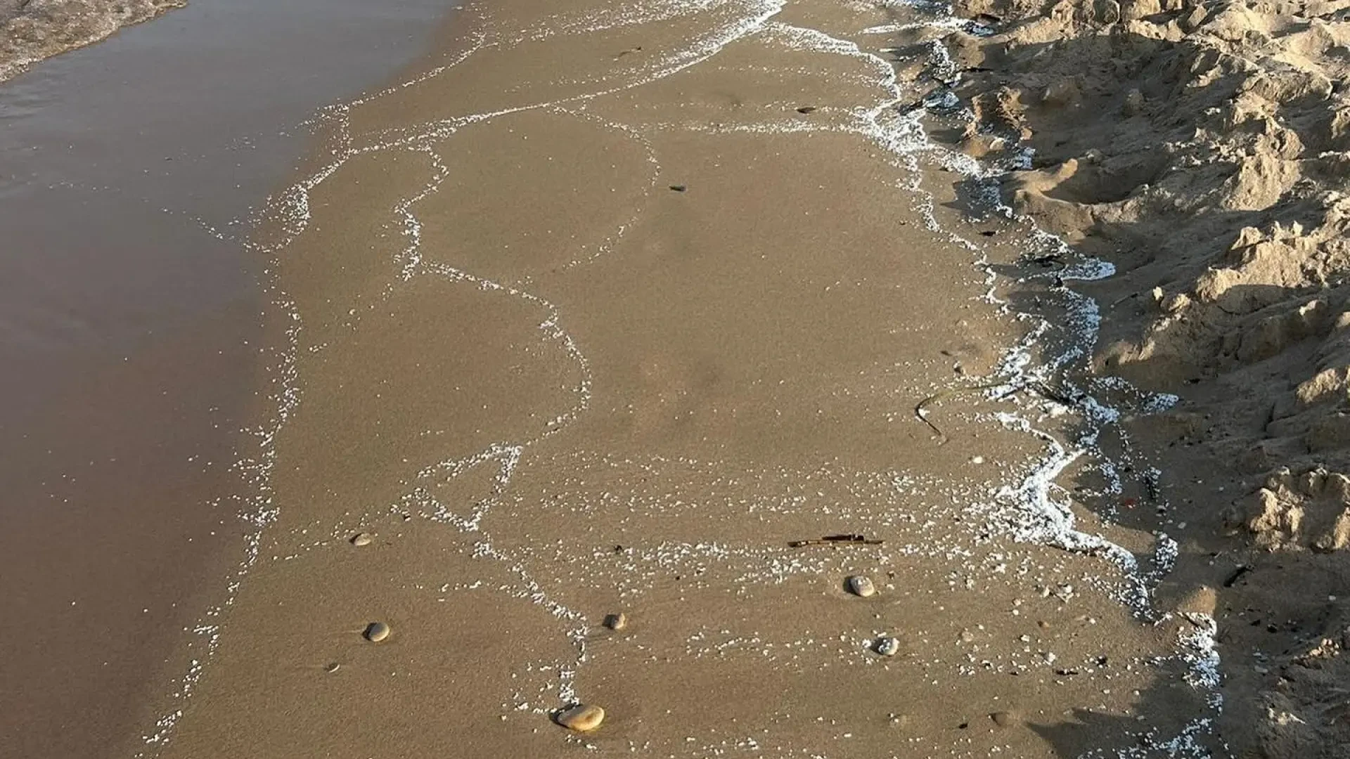 Alerta en Valencia: recomiendan no bañarse en varias playas del sur por un posible vertido