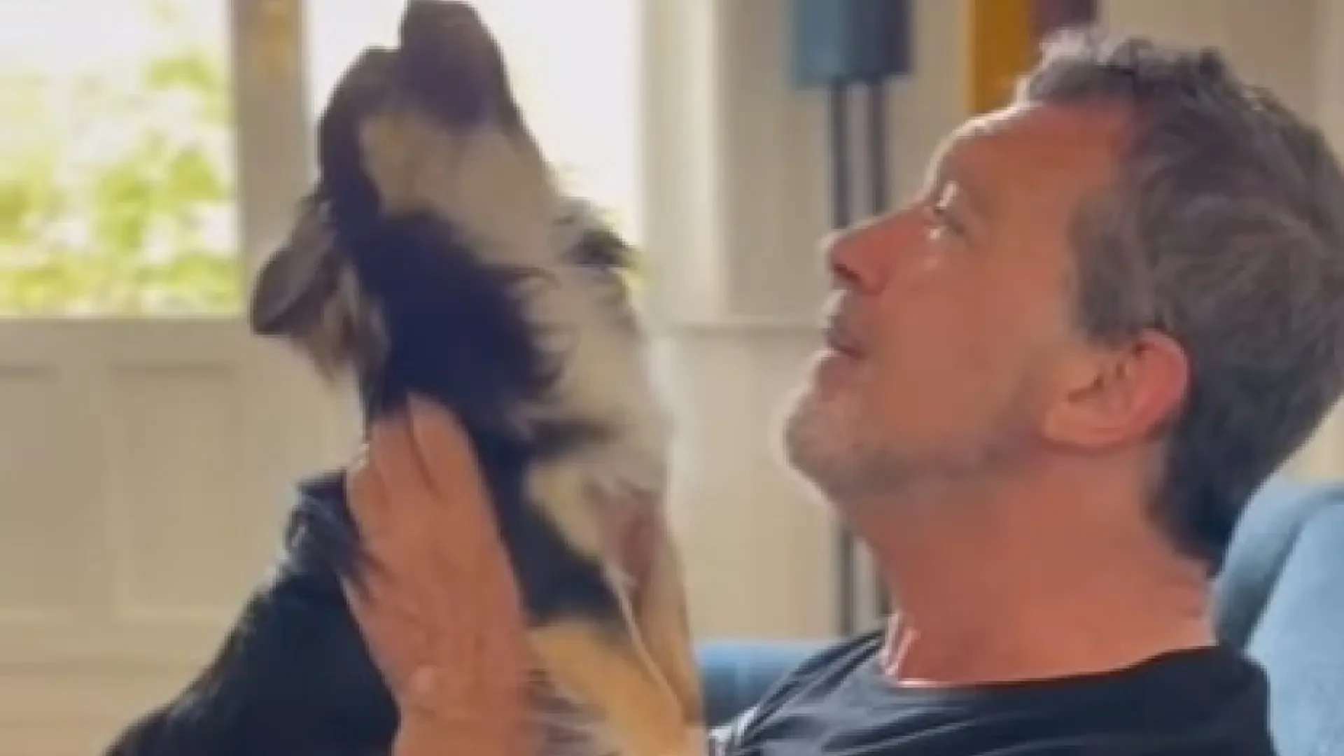 Banderas apunta al final de 'Gypsy' con un divertido vídeo con su perro: 