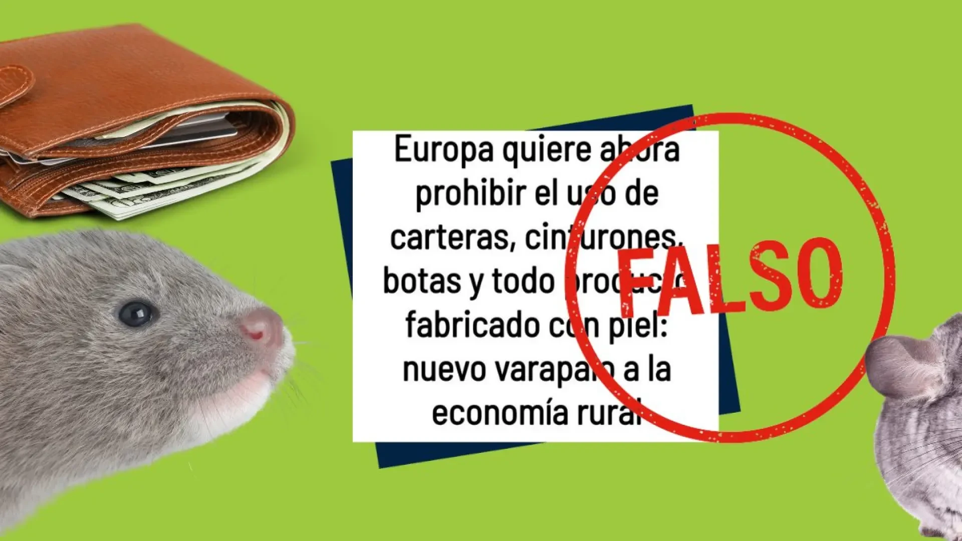 Es falso que la UE haya propuesto prohibir los artículos de piel