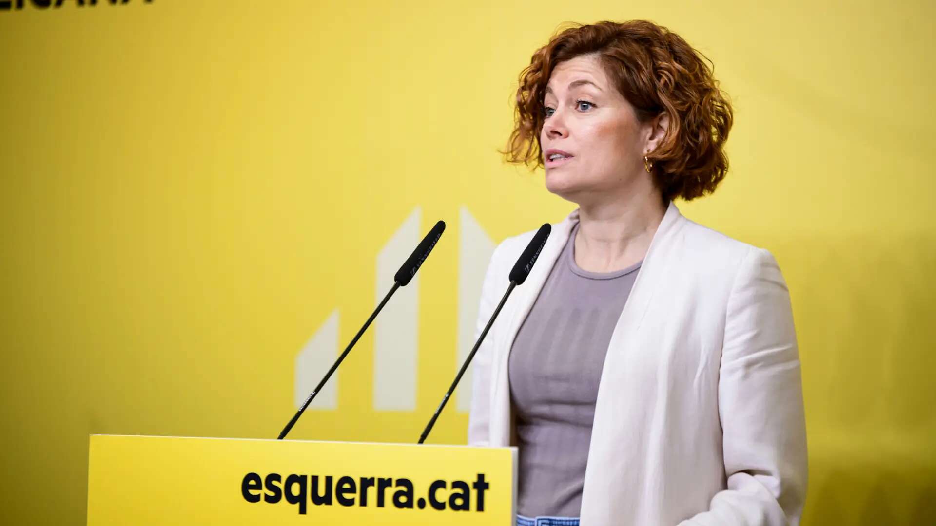 Alamany dice que no le preocupa que el PP lleve al Constitucional el FLA y afea su 