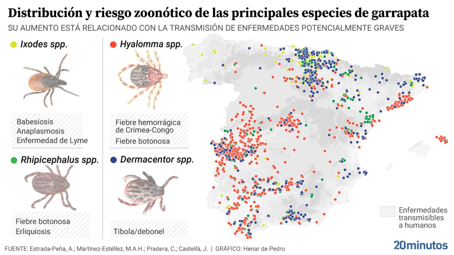 Así se mueven las garrapatas en España: el mayor mapa sobre su distribución y riesgo zoonótico