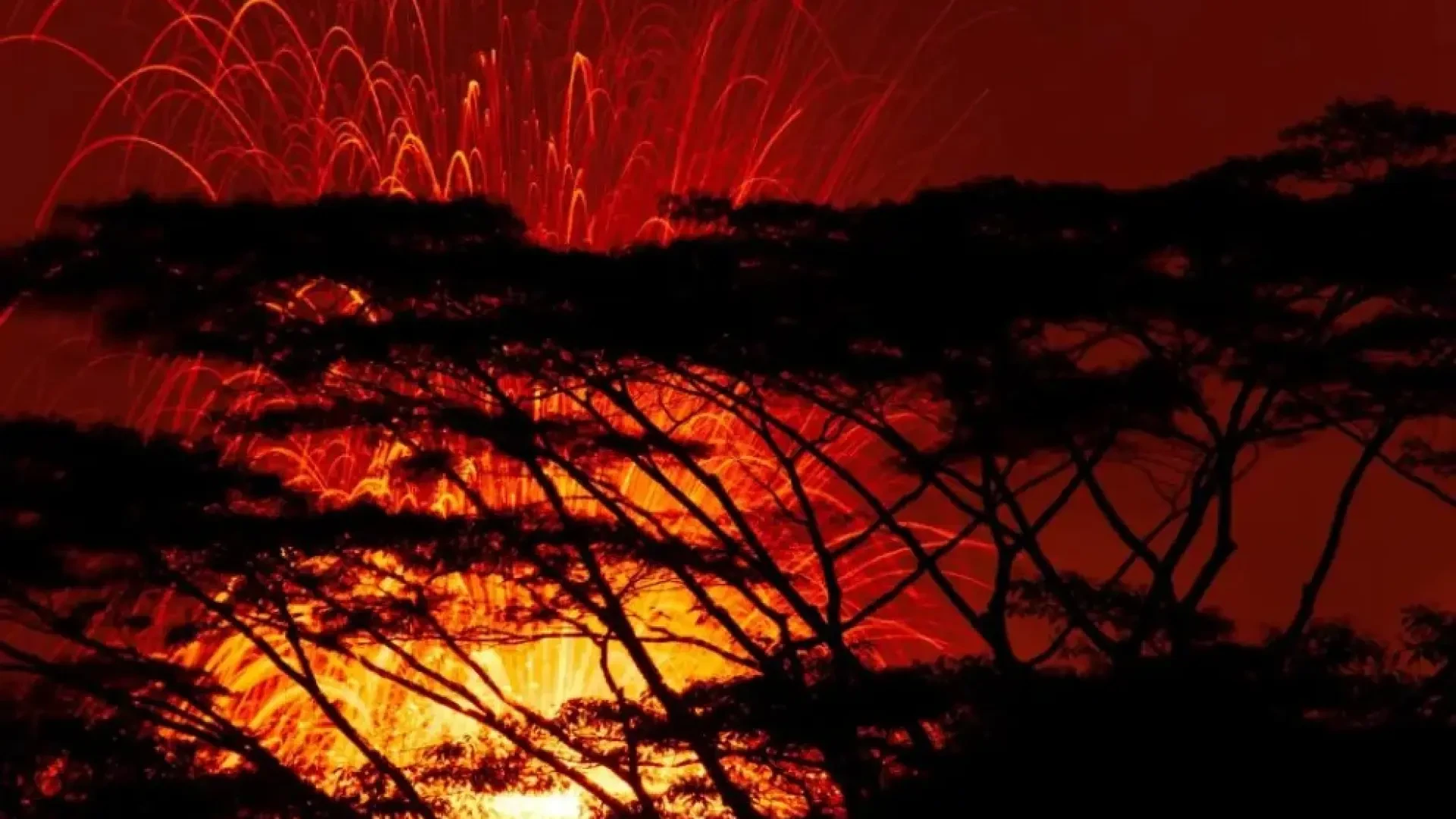 La NASA podría prever erupciones volcánicas desde el espacio gracias a los árboles