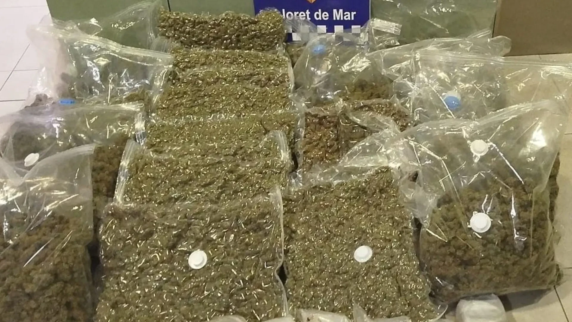 Detenidas cuatro personas en Lloret de Mar con 42 kilos de marihuana y hachís