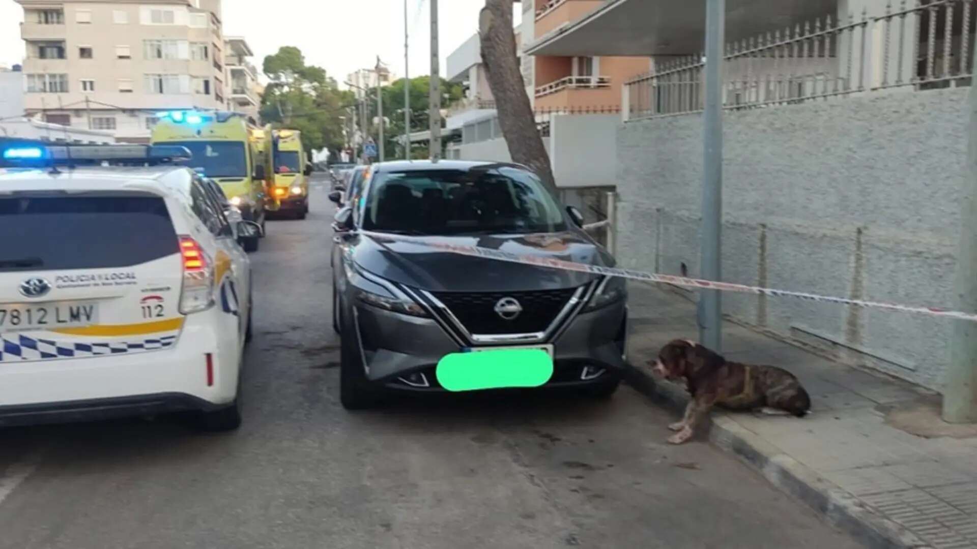 Ingresan a un hombre con heridas graves tras ser atacado por su pitbull en Mallorca