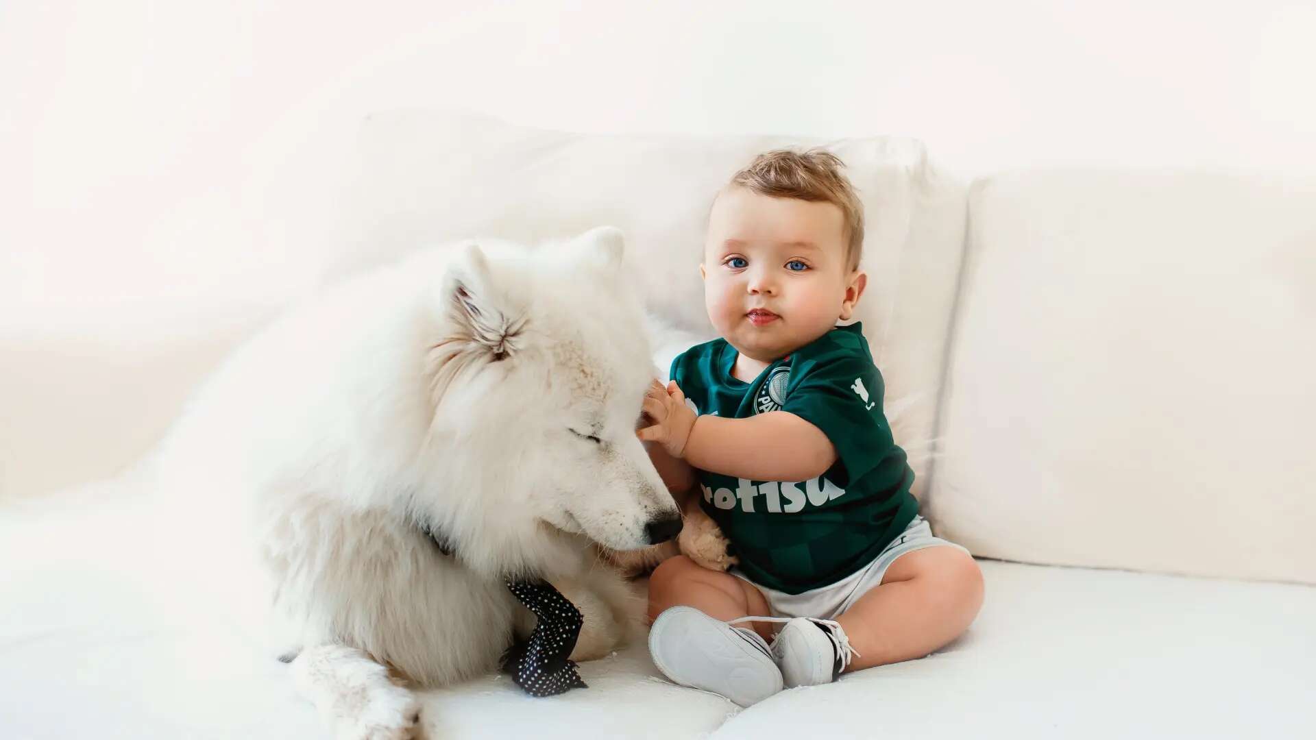 Cómo evitar que un perro tenga celos de un bebé u otro miembro de la familia