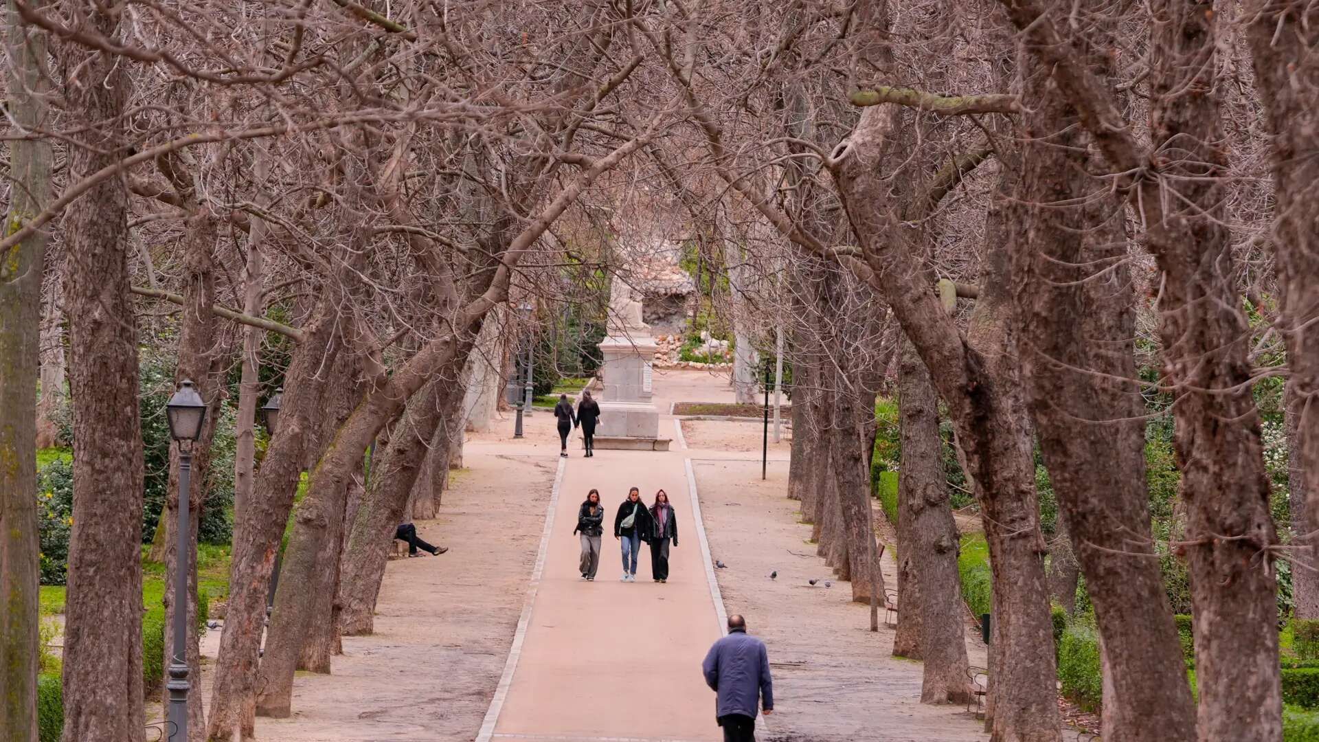 Madrid es Ciudad Arbórea del Mundo: el 54% de sus calles tienen árboles y prevén 500.000 más