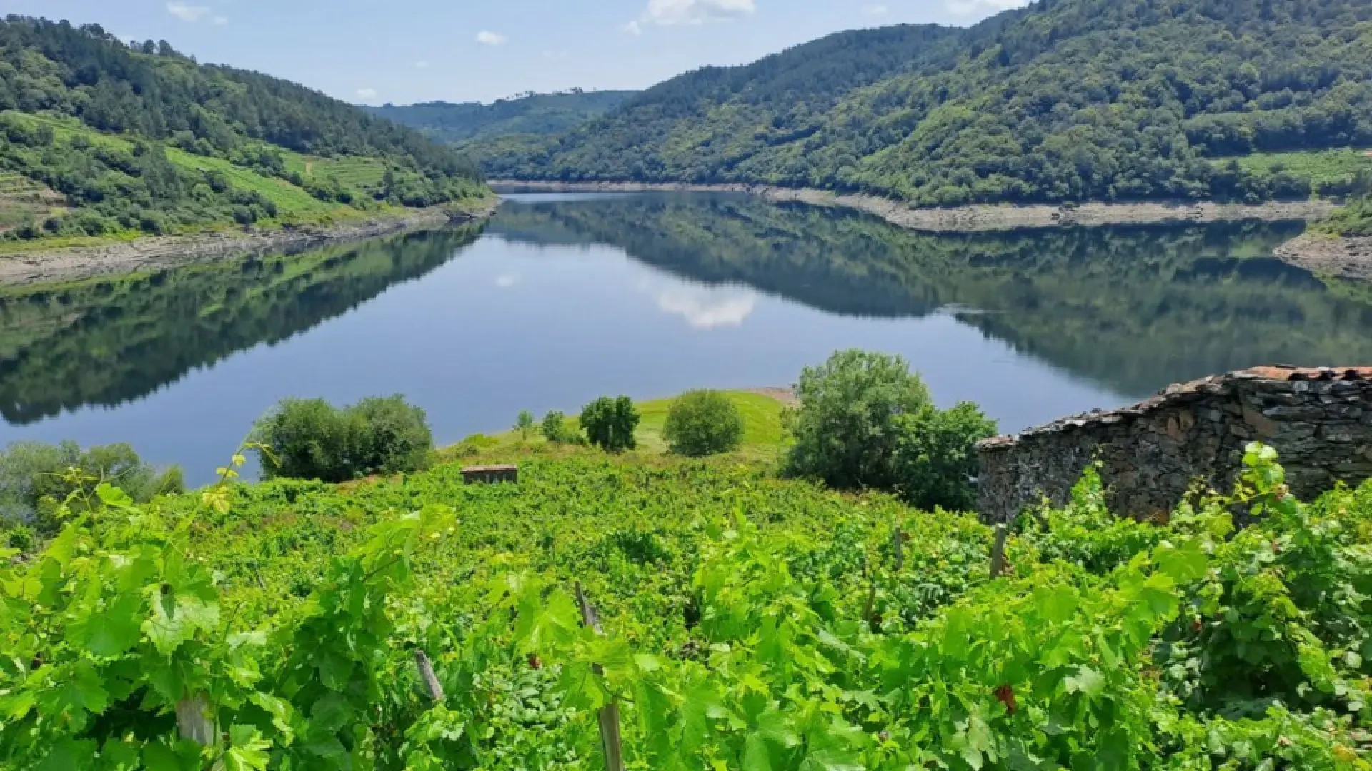La ruta de senderismo recién inaugurada que es ideal para hacer en verano: discurre entre bosques y miradores