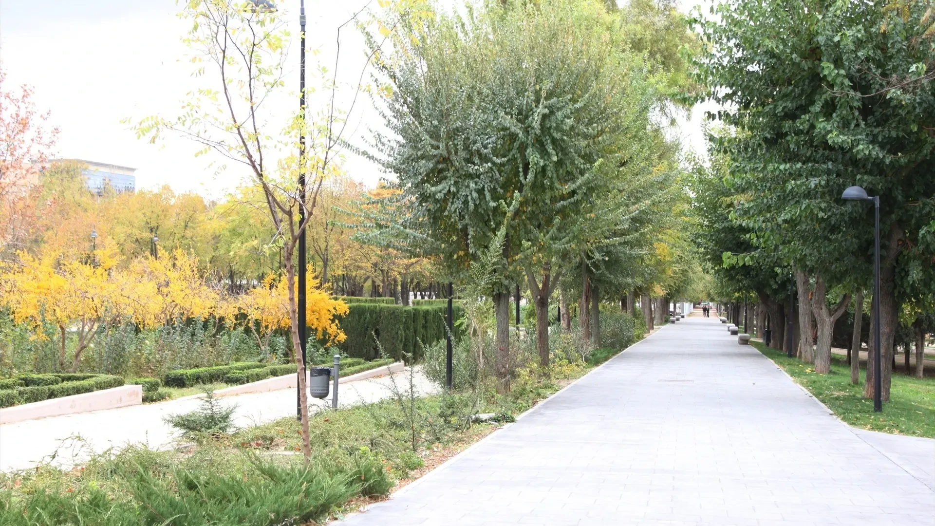 Vuelve el cine de verano a Toledo: consulta dónde y cuándo se proyectarán las películas