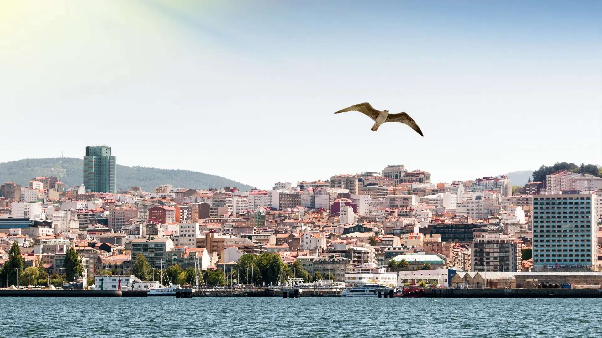 Ni las islas Cíes, ni las Rías Baixas: qué ver y hacer en Vigo en 48 horas si viajas a Galicia