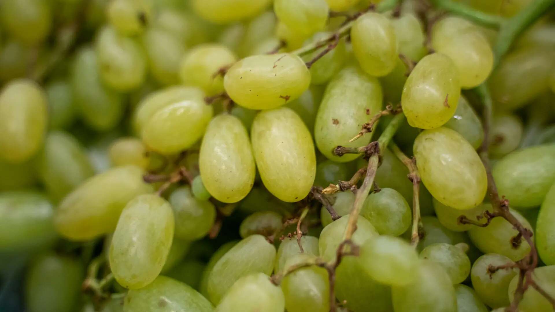 Uvas blancas, patatas y zanahorias, los alimentos que más se han encarecido a comienzos de diciembre