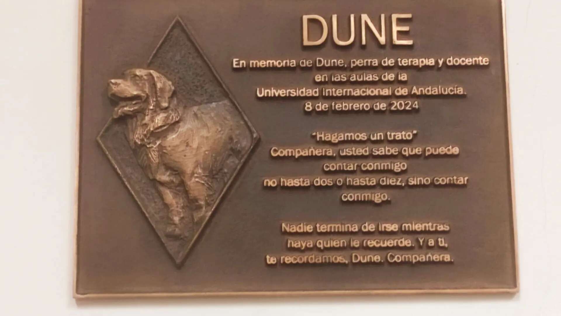 La Universidad Internacional de Andalucía homenajea a Dune, la primera perra de terapia que ha impartido clase