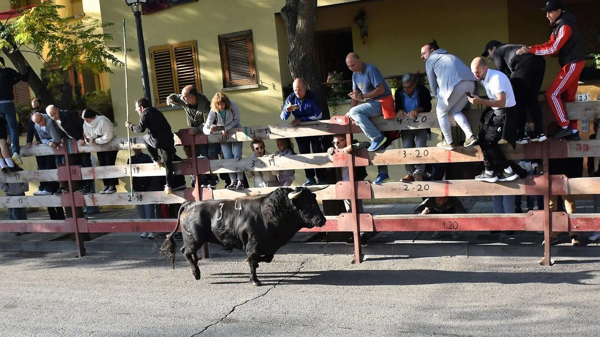 Herido grave un hombre tras ser corneado varias veces en la pierna en el último encierro de Villaviciosa