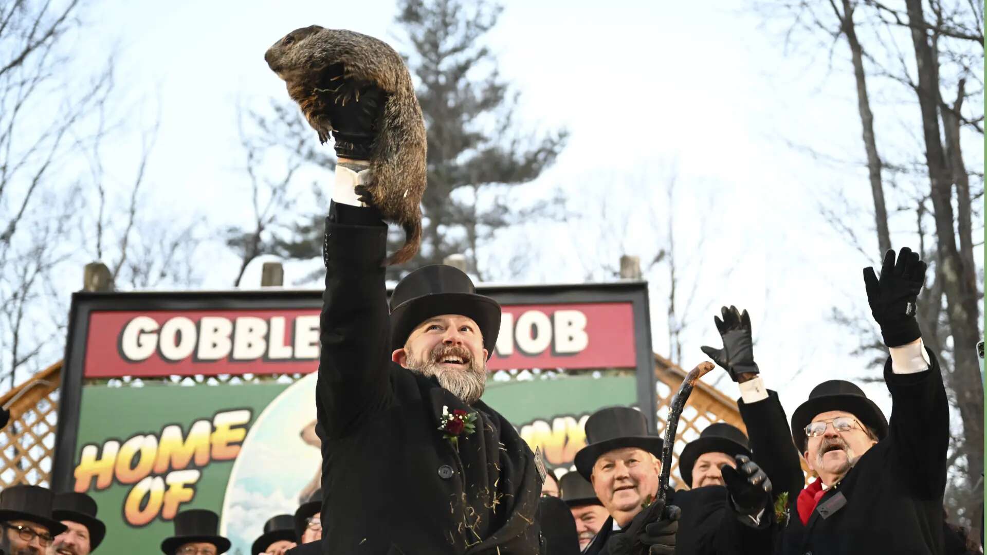 Día de la Marmota 2025: qué pasa si Phil ve su sombra