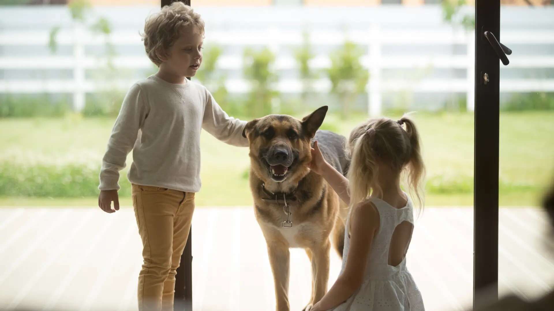 Las tres razas de perro que deberías evitar si tienes niños, según un entrenador canino