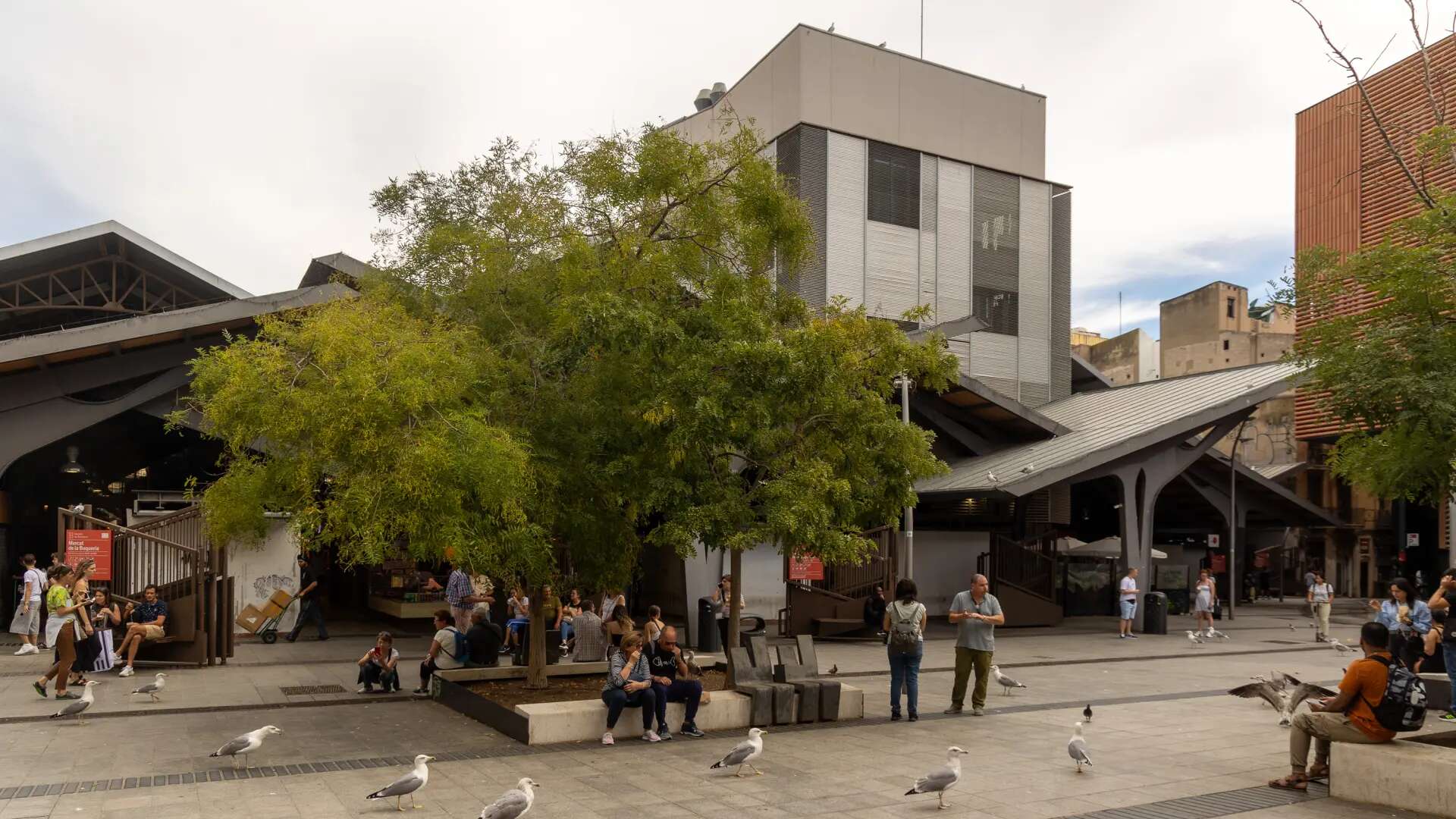 Barcelona abrirá un nuevo acceso por la Antiga Massana para conectar los jardines Rubió i Lluch y la plaza Gardunya