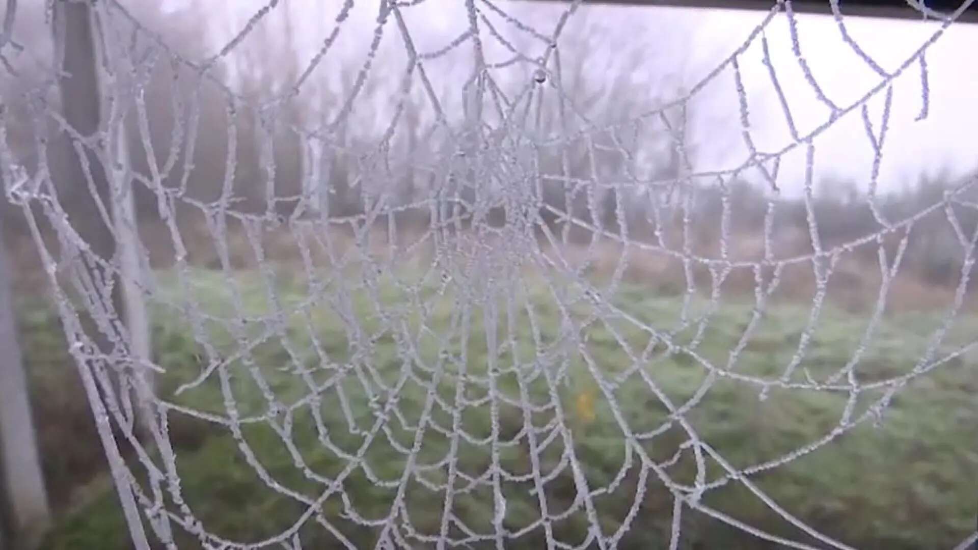 Las primeras heladas del año nos dejan estas preciosas estampas invernales