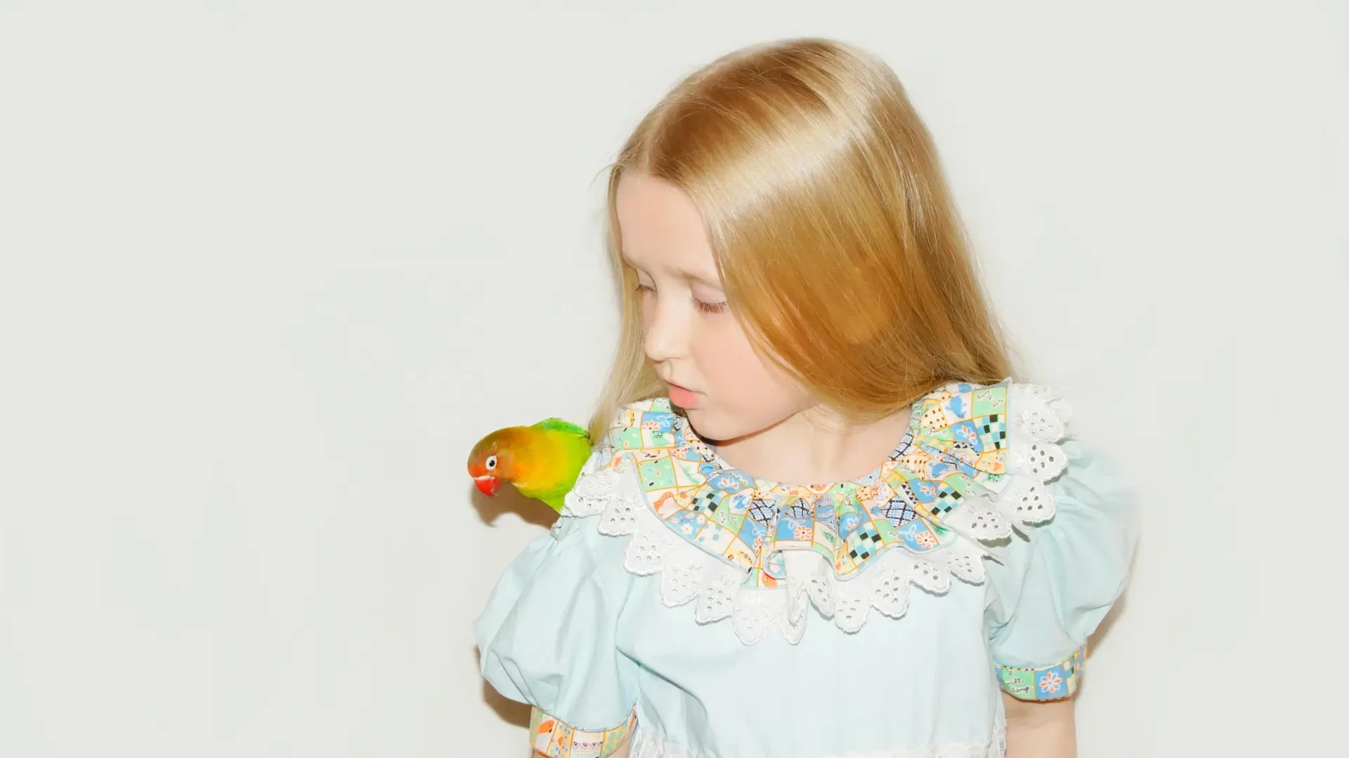 Convivencia entre niños y pequeñas mascotas, la obligatoriedad de una mirada más atenta