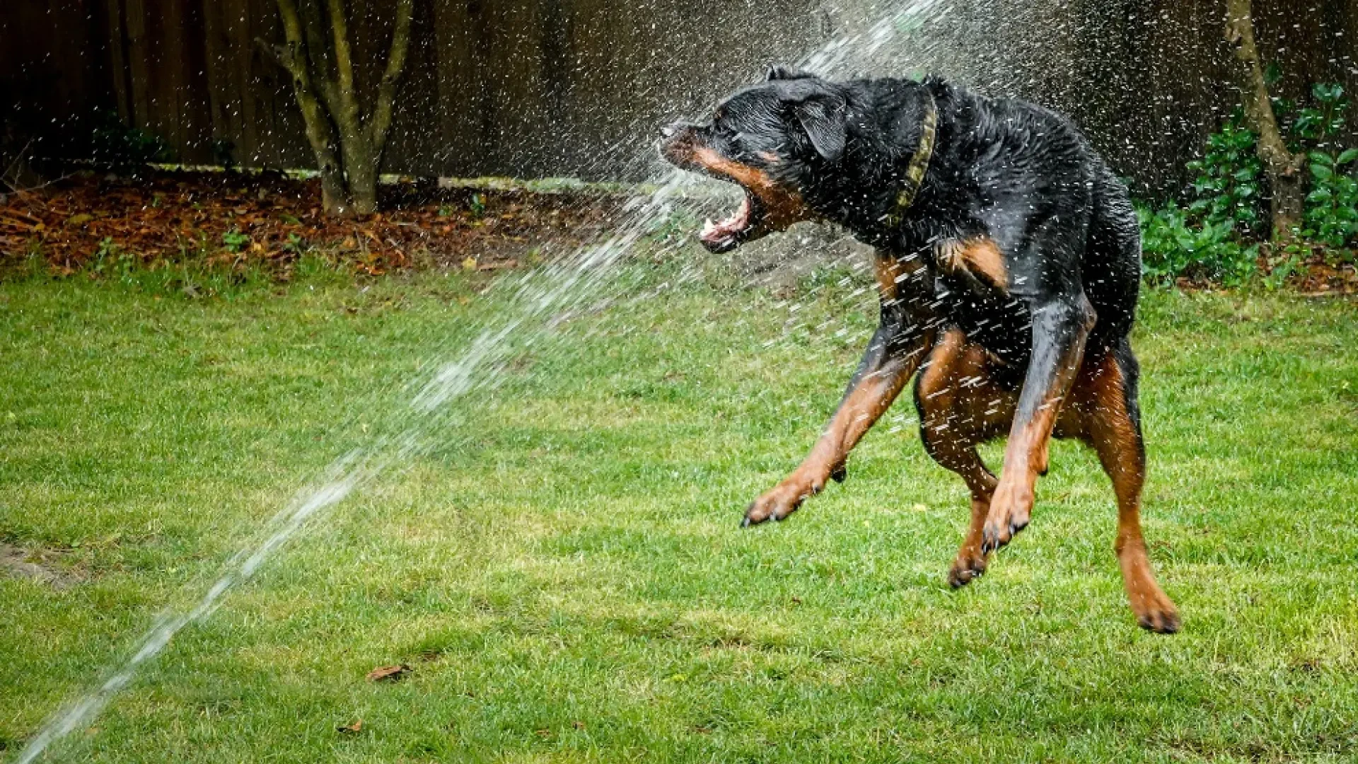 No solo son peligrosos los golpes de calor, también la intoxicación por exceso de agua o hiponatremia