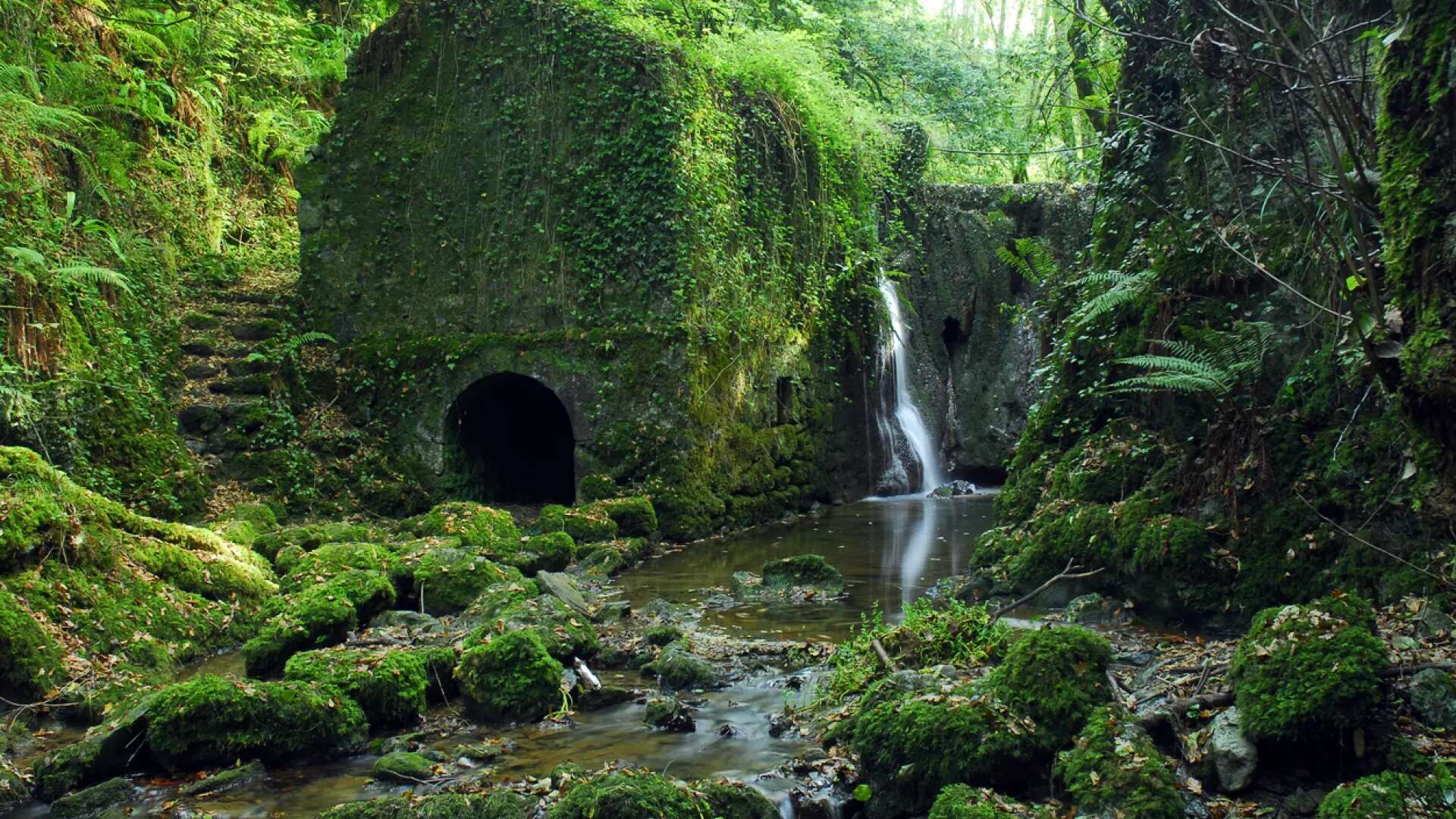 La ruta senderista en Vizcaya con un molino y una cascada arropados por frondosa naturaleza