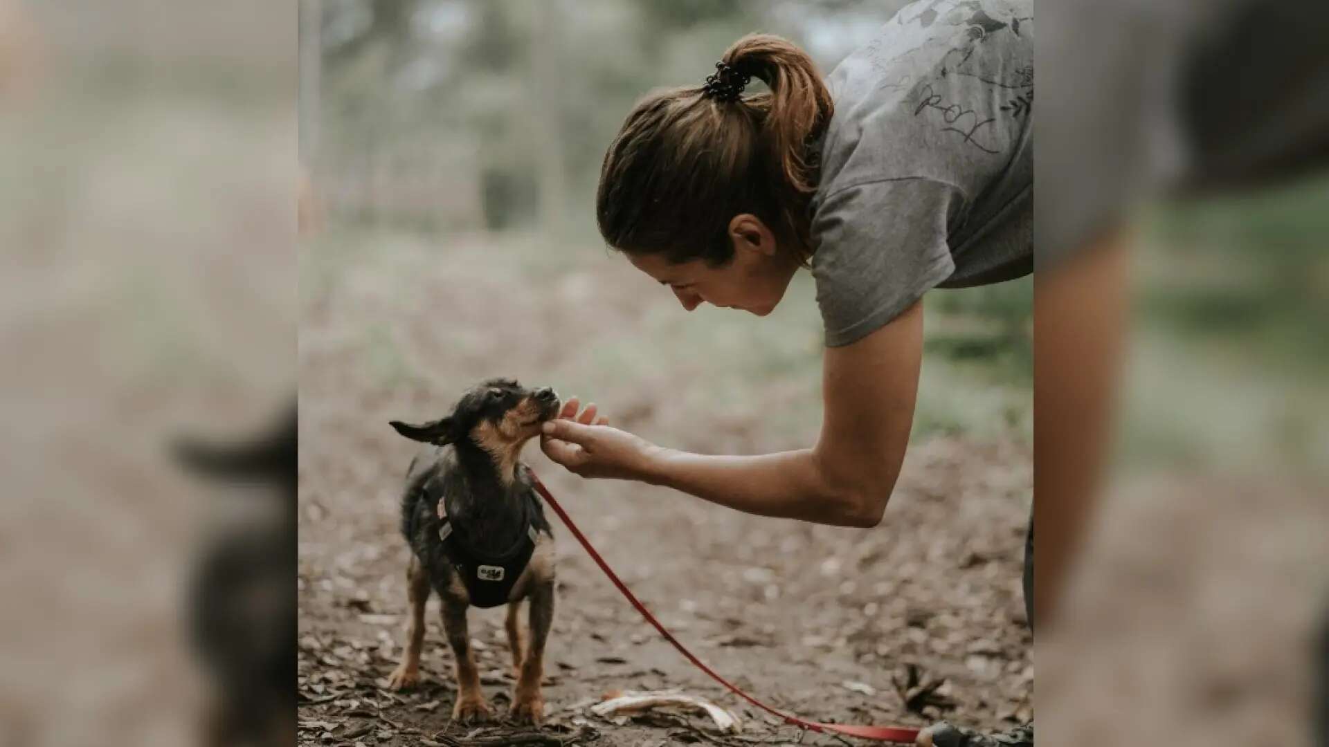 La historia de Ommi, el perro neurodivergente que se libró del sacrificio y ahora vive feliz