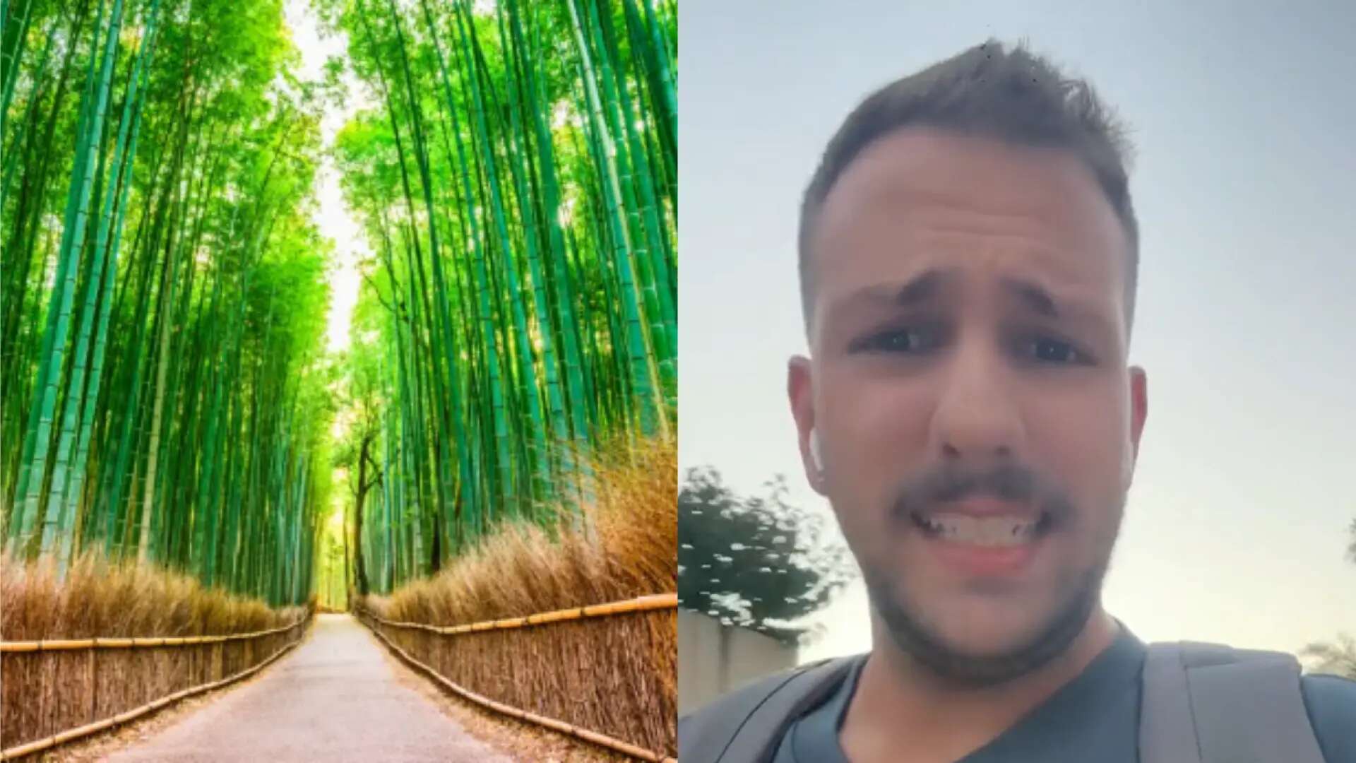 Un turista explica por qué no deberías hablar español en Japón: 