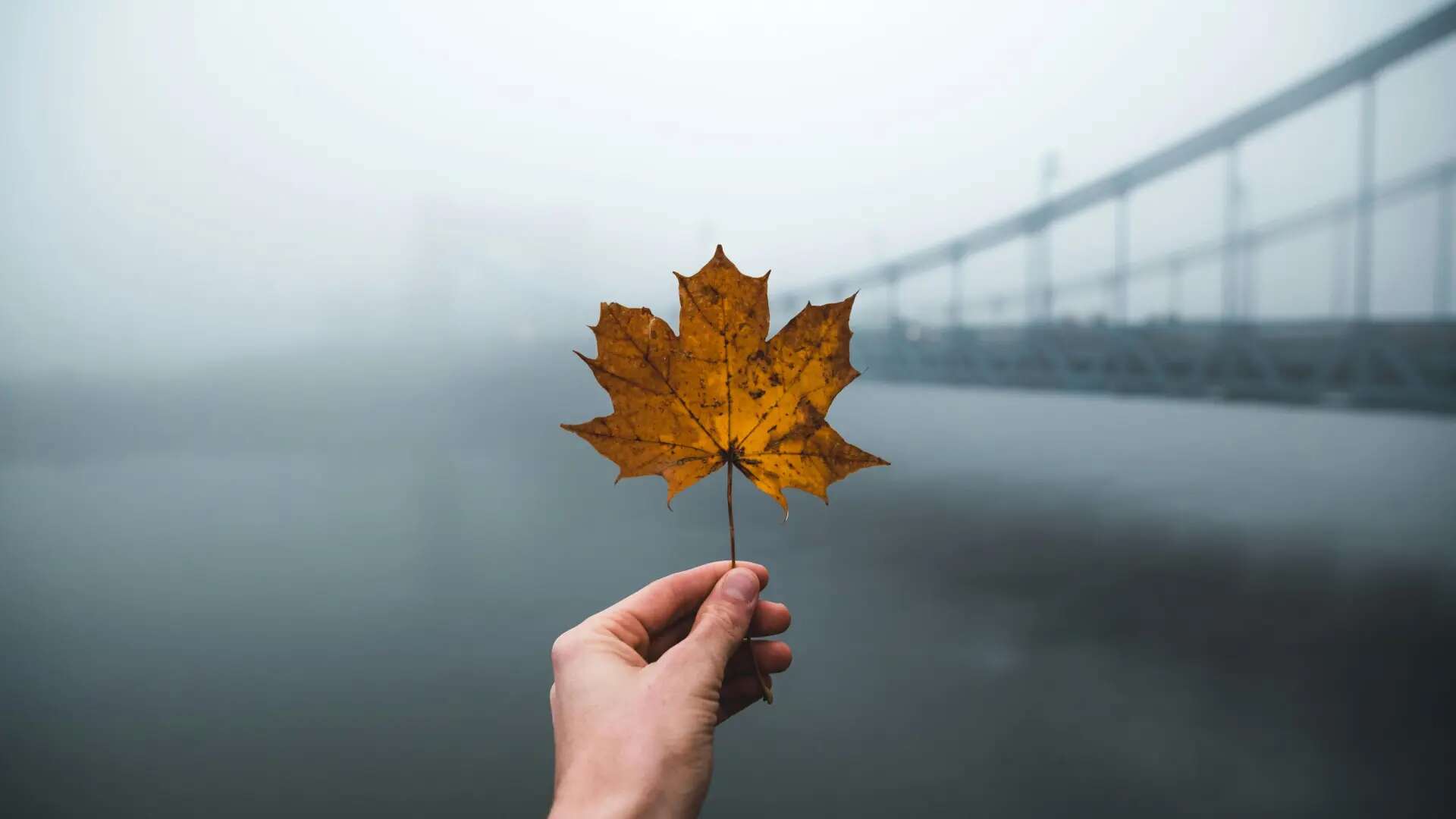 Ni el 21 ni el 23 de septiembre, cuándo empieza el otoño y por qué este año ha cambiado la fecha