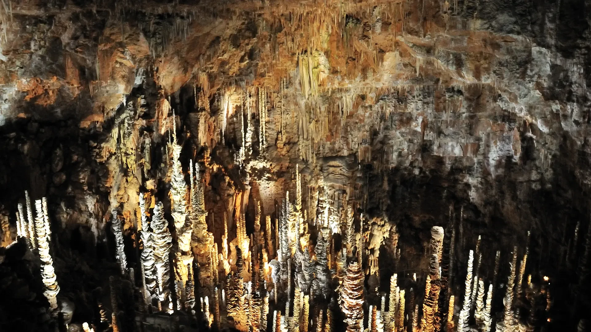 La espectacular cueva al sur de Francia que deja sin palabras a quien la visita: un bosque de estalagmitas