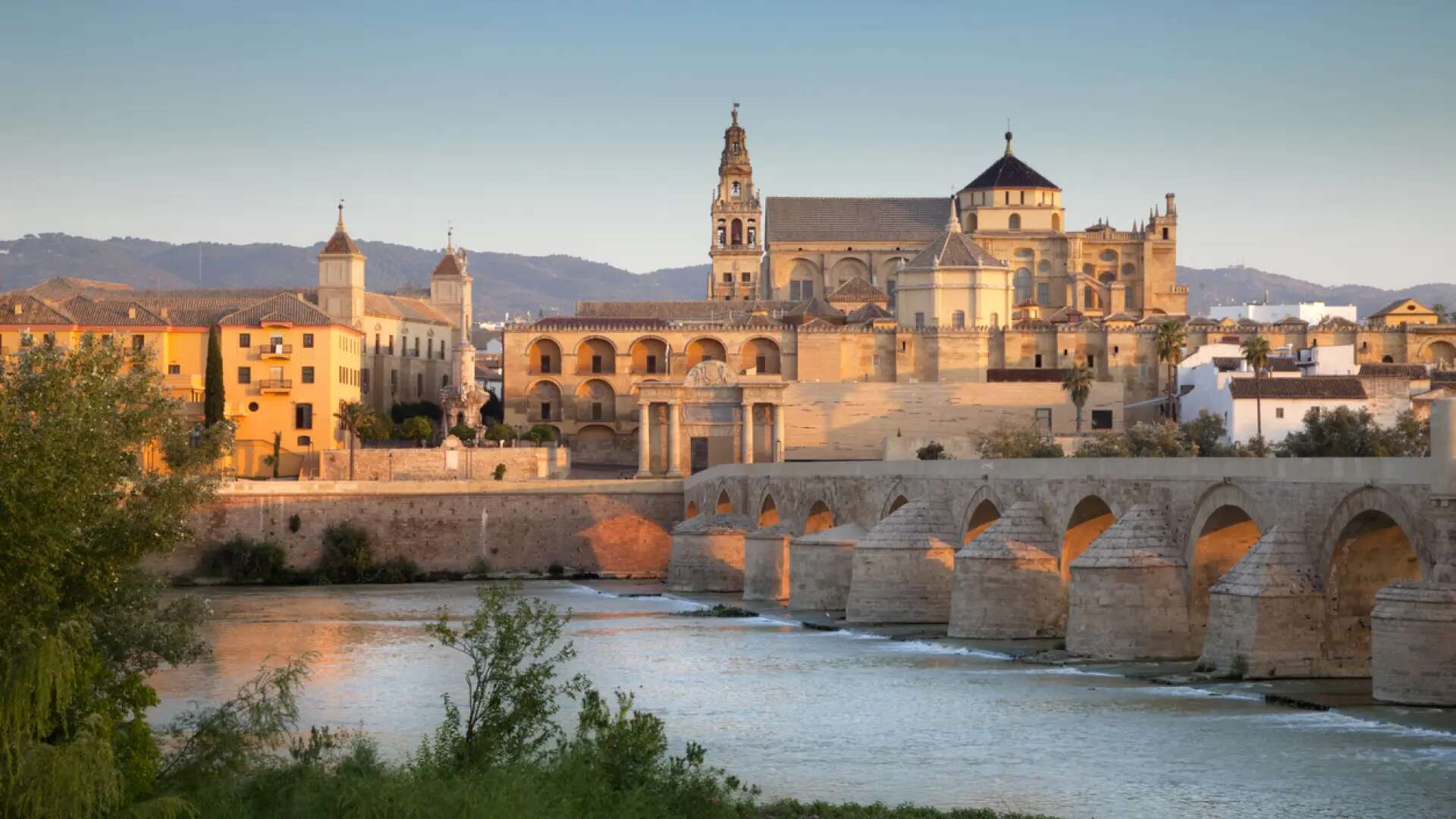 Ni rabo de toro ni berenjena frita: esta es una de las tapas más famosas de los bares de Córdoba