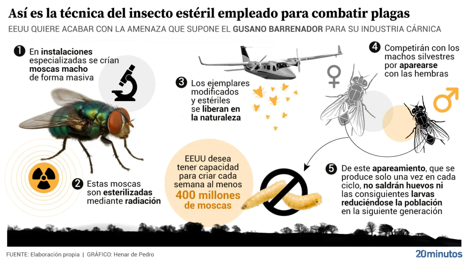 Así es plan de EEUU para criar en laboratorio millones de moscas y lanzarlas a México para combatir al peligroso gusano barrenador