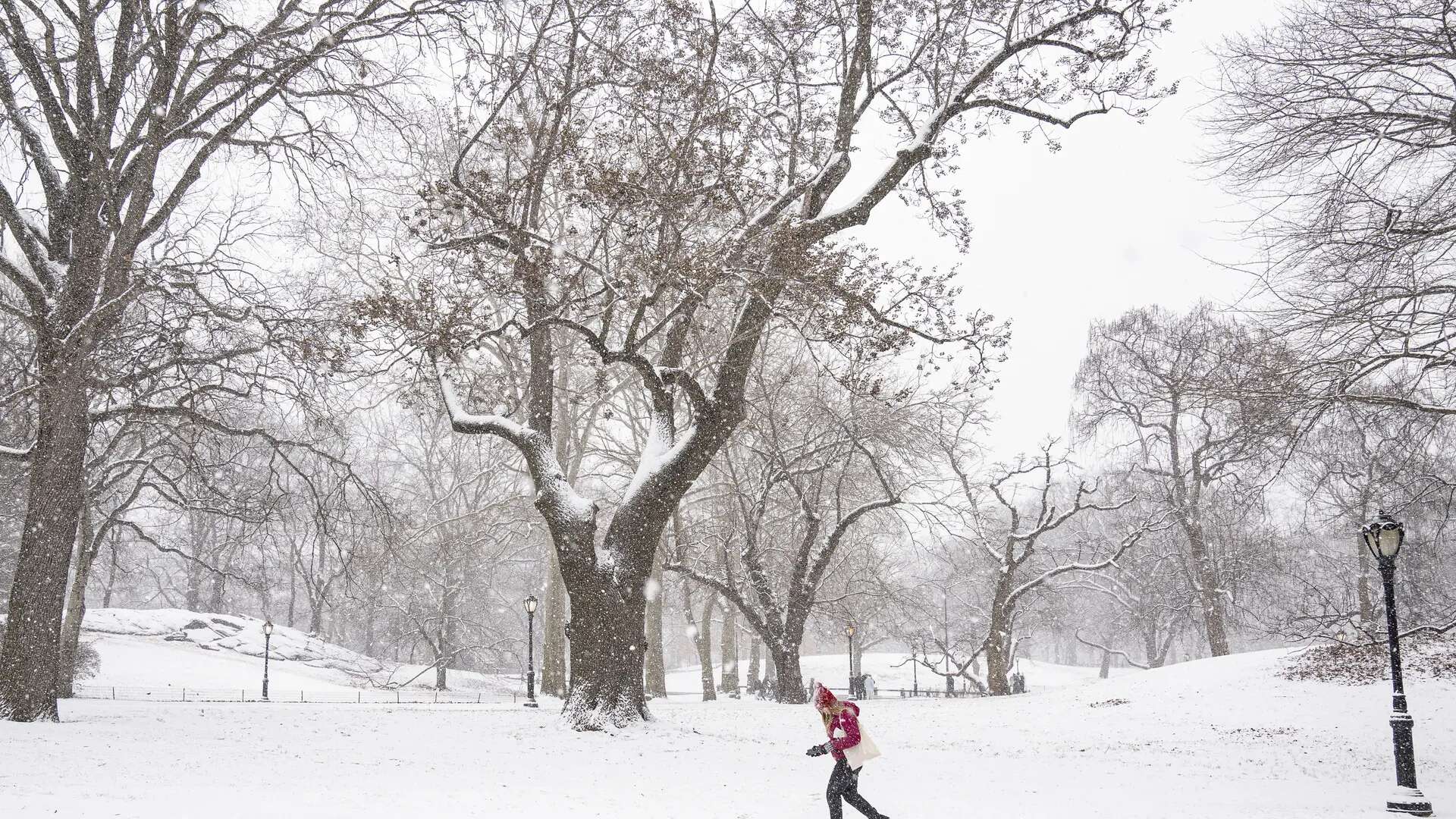 Cinco muertos, más de 2.000 vuelos cancelados...: EEUU sufre el peor temporal de nieve en décadas