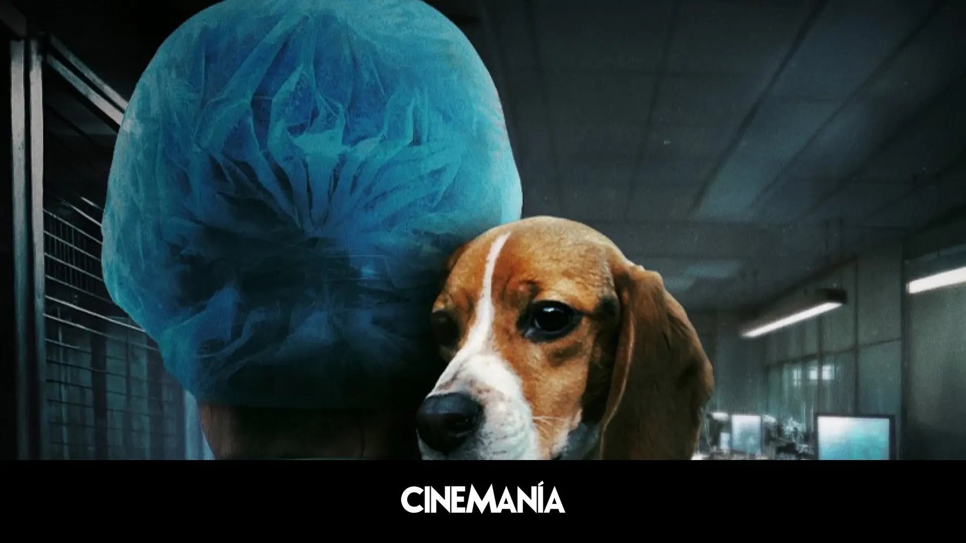 18 meses para destapar el maltrato animal en un laboratorio: 'Infiltrada en el búnker' llega a Prime Video