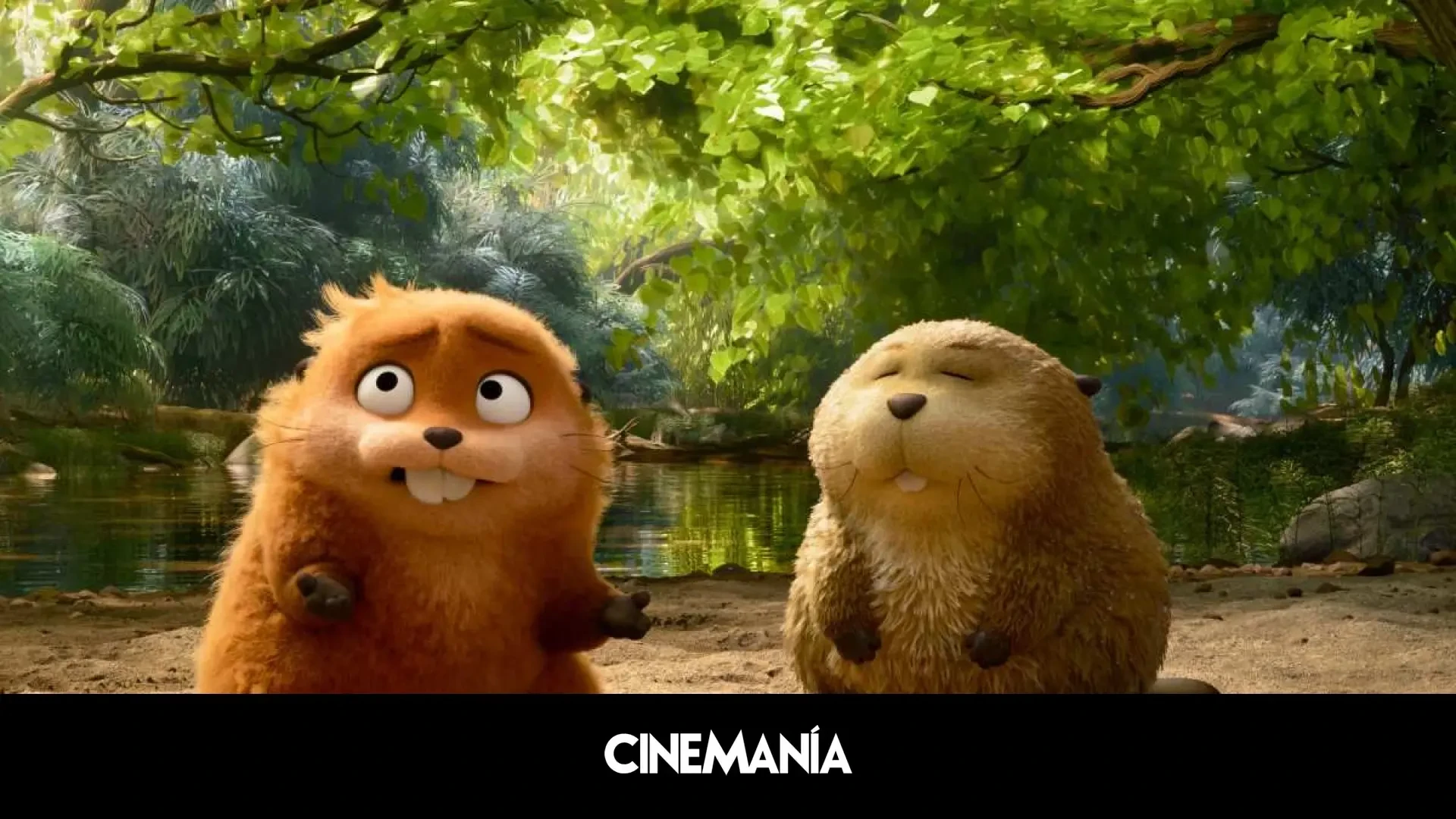 Daniel Chong, director de 'Hoppers': 