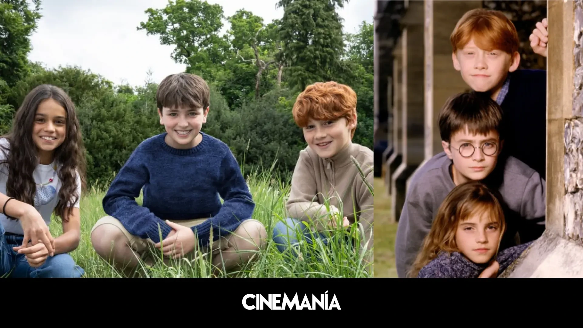 Quién es quién en la nueva serie de 'Harry Potter': 'casting'... y cambios con la saga original