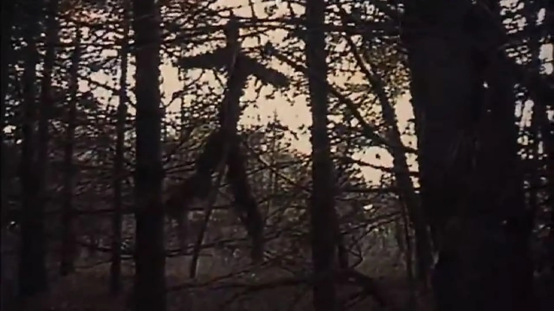 Pésames y sustos en la oscuridad: así se rodó la película que revolucionó el cine de terror