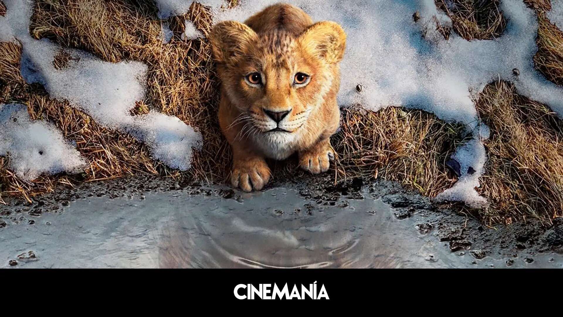 'Mufasa: El rey león', el ciclo sin fin de Disney da una nueva vuelta a uno de sus clásicos más taquilleros