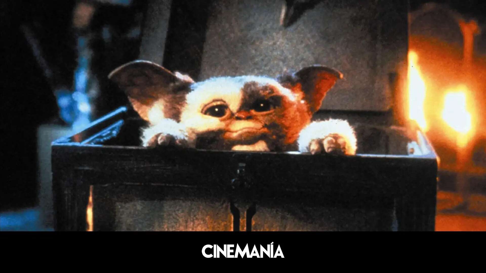 ¿Tendremos nueva película de los 'Gremlins'? Warner Bros. sigue adelante con el proyecto