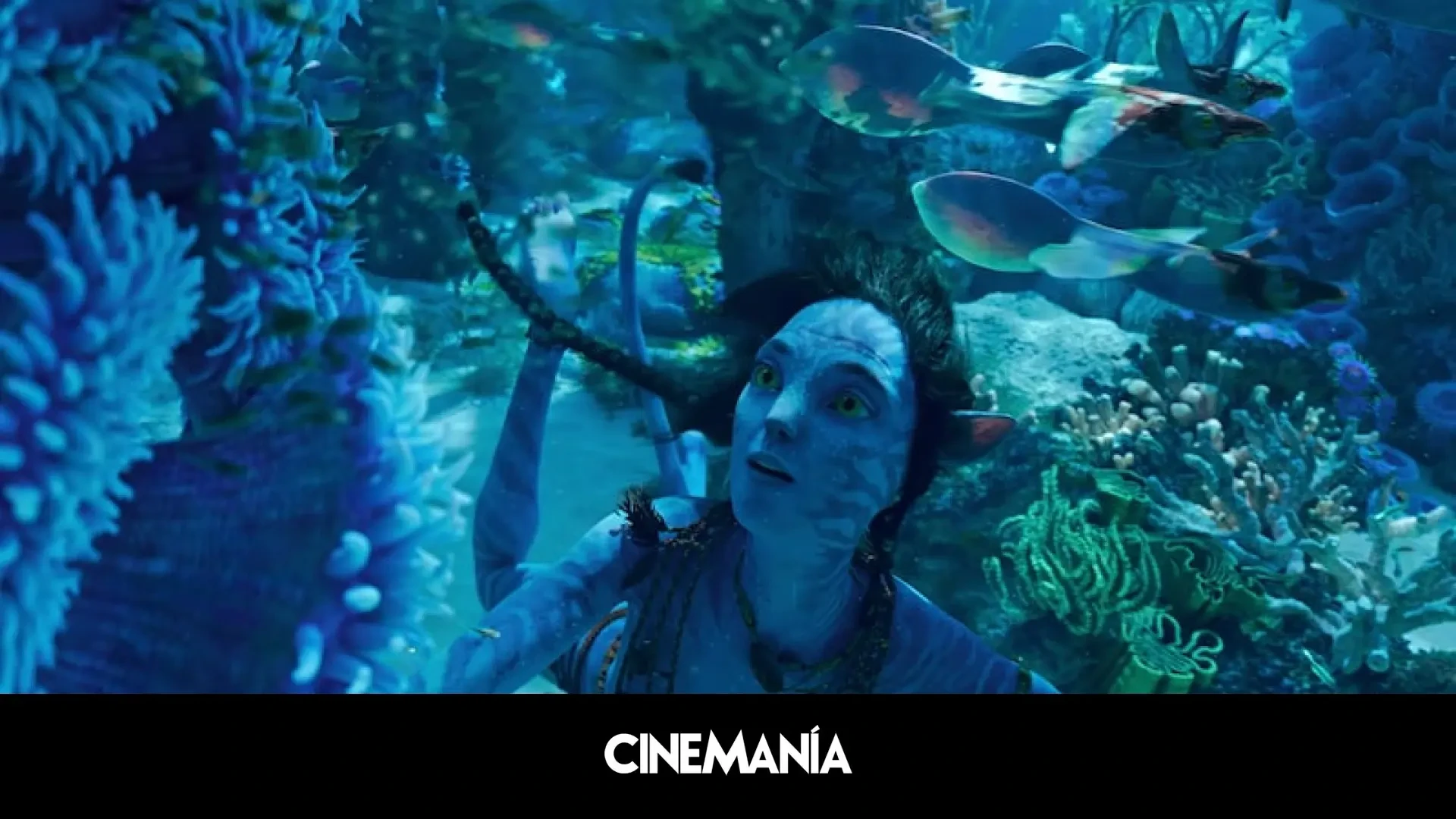 James Cameron ya tiene algo nuevo entre manos para cuando acabe con 'Avatar'