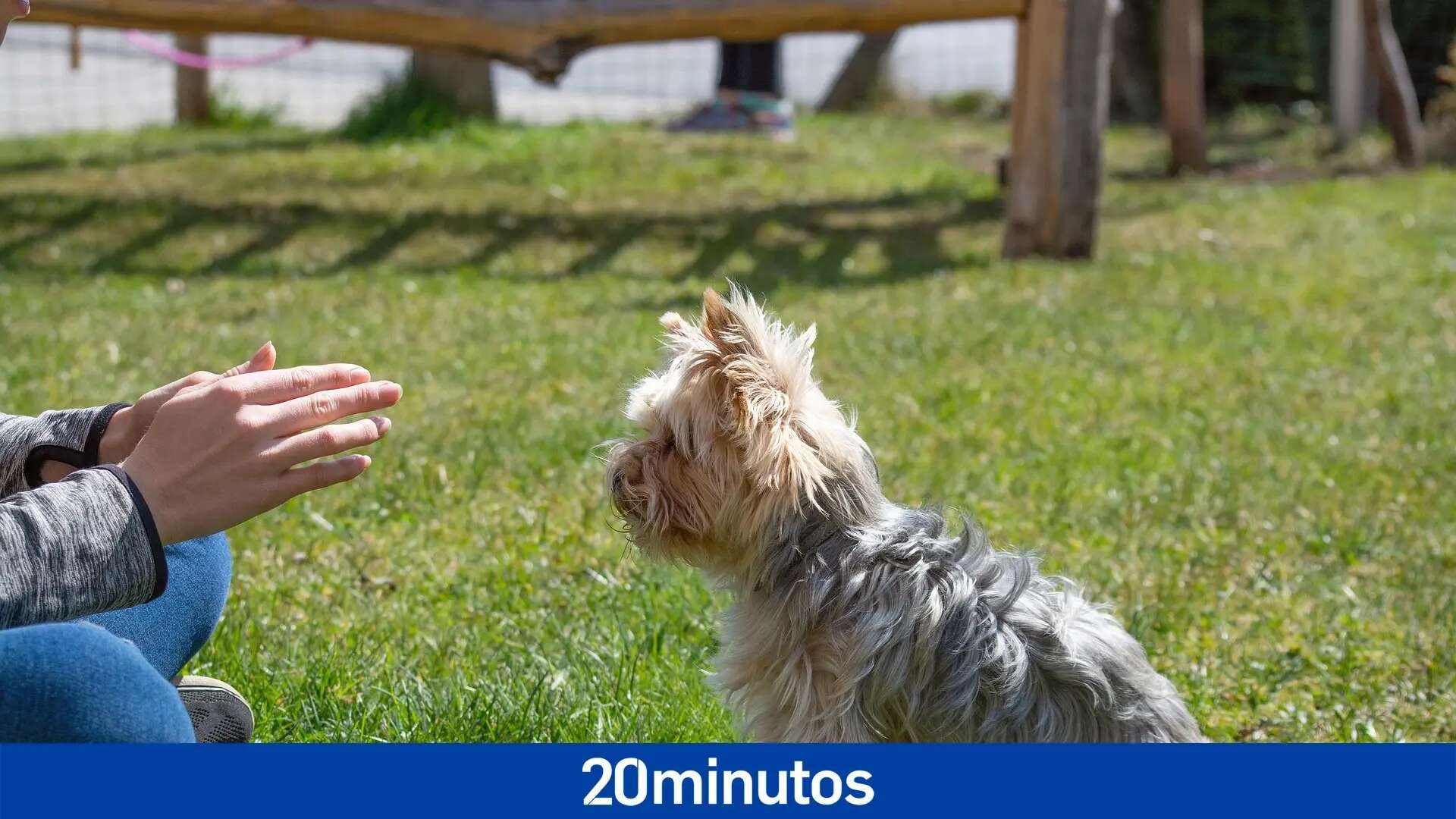 Diez consejos para preparar a tu perro ante la llegada del bebé