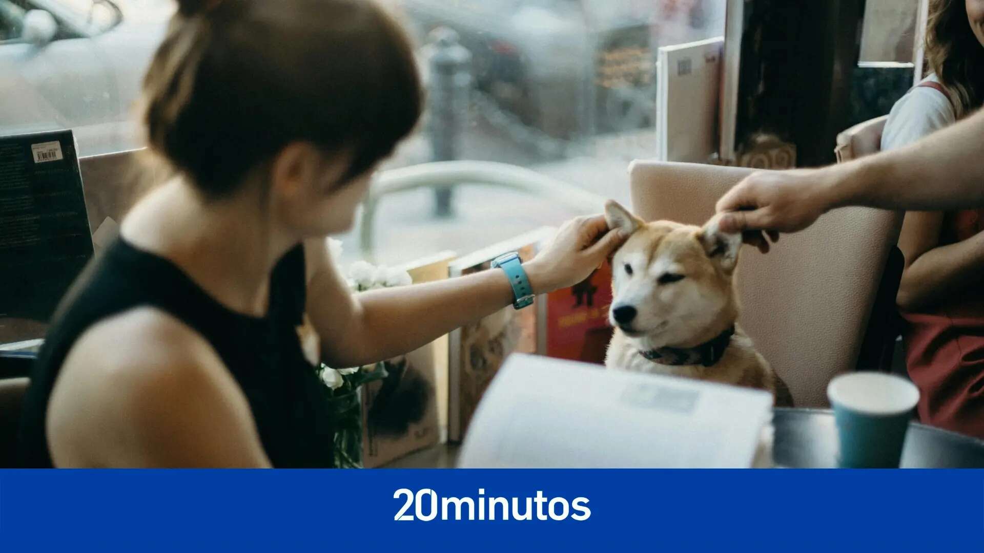 Menos estrés y más productividad: los no tan conocidos beneficios de llevar al perro a la oficina