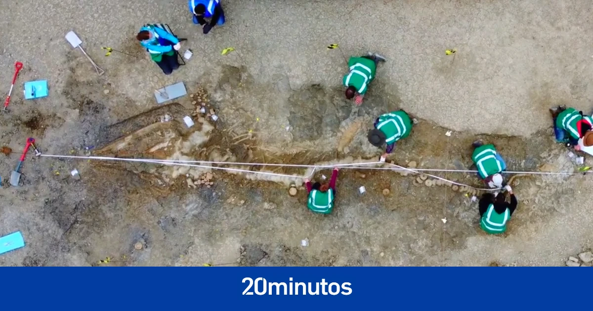 Descubren el fósil del dragón marino 