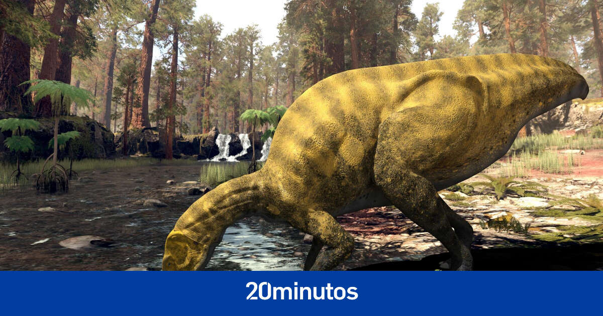 Descubren en Castellón los restos de una especie desconocida de dinosaurio