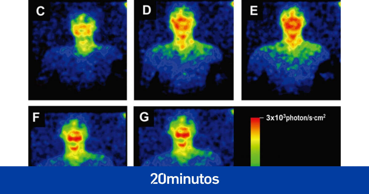 Brillamos en la oscuridad... 15 curiosidades del cuerpo humano que quizá no sabías